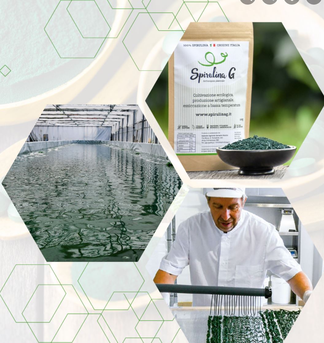 Spirulina: quale scegliere e quali caratteristiche considerare per comprare un prodotto di alta qualità?