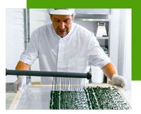 Spirulina G in Spaghettini
