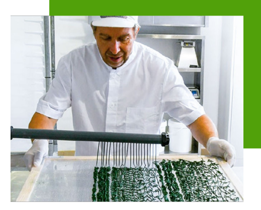 Spirulina G in Spaghettini